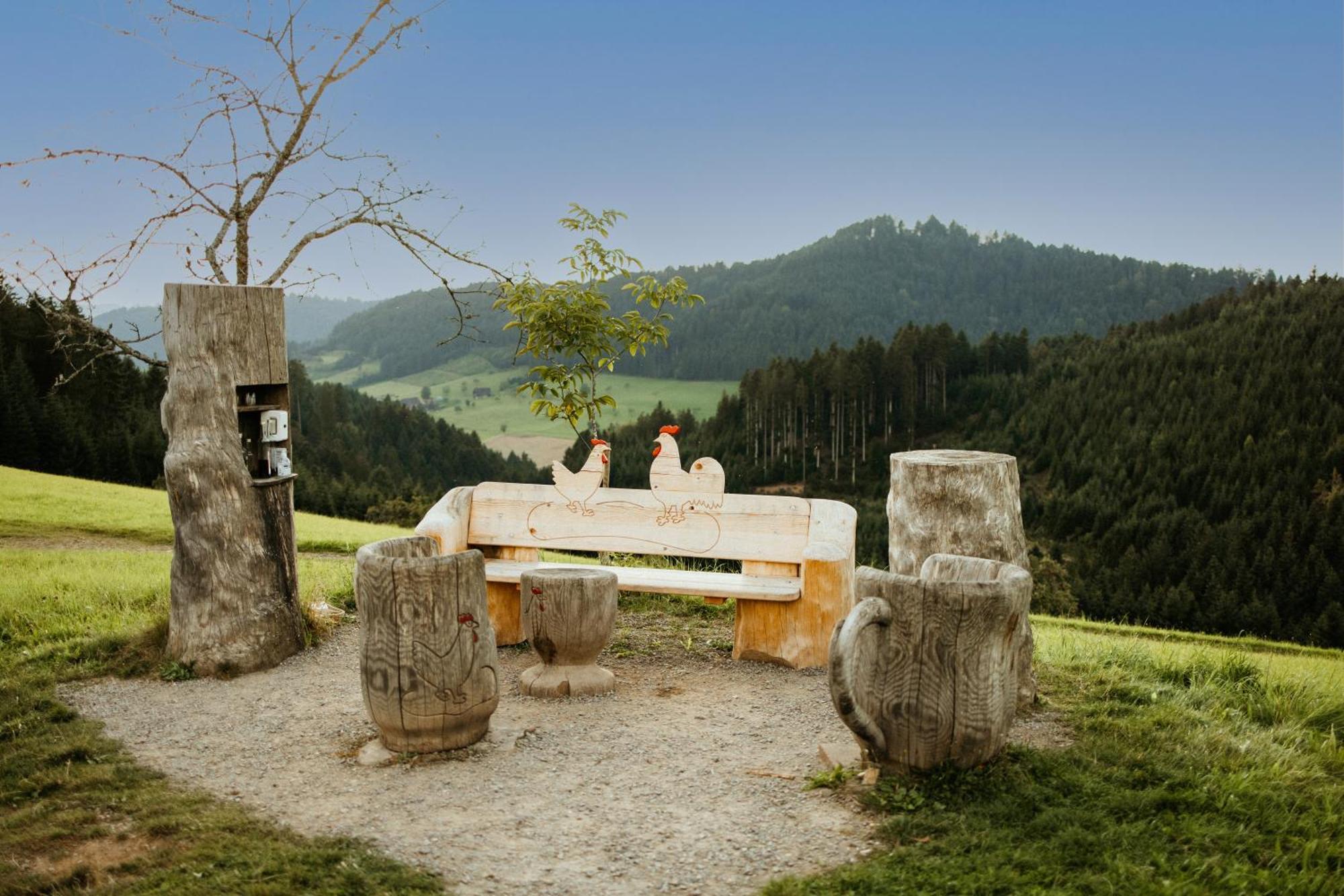 Landhotel Gasthaus Zum Pflug Zell am Harmersbach Esterno foto