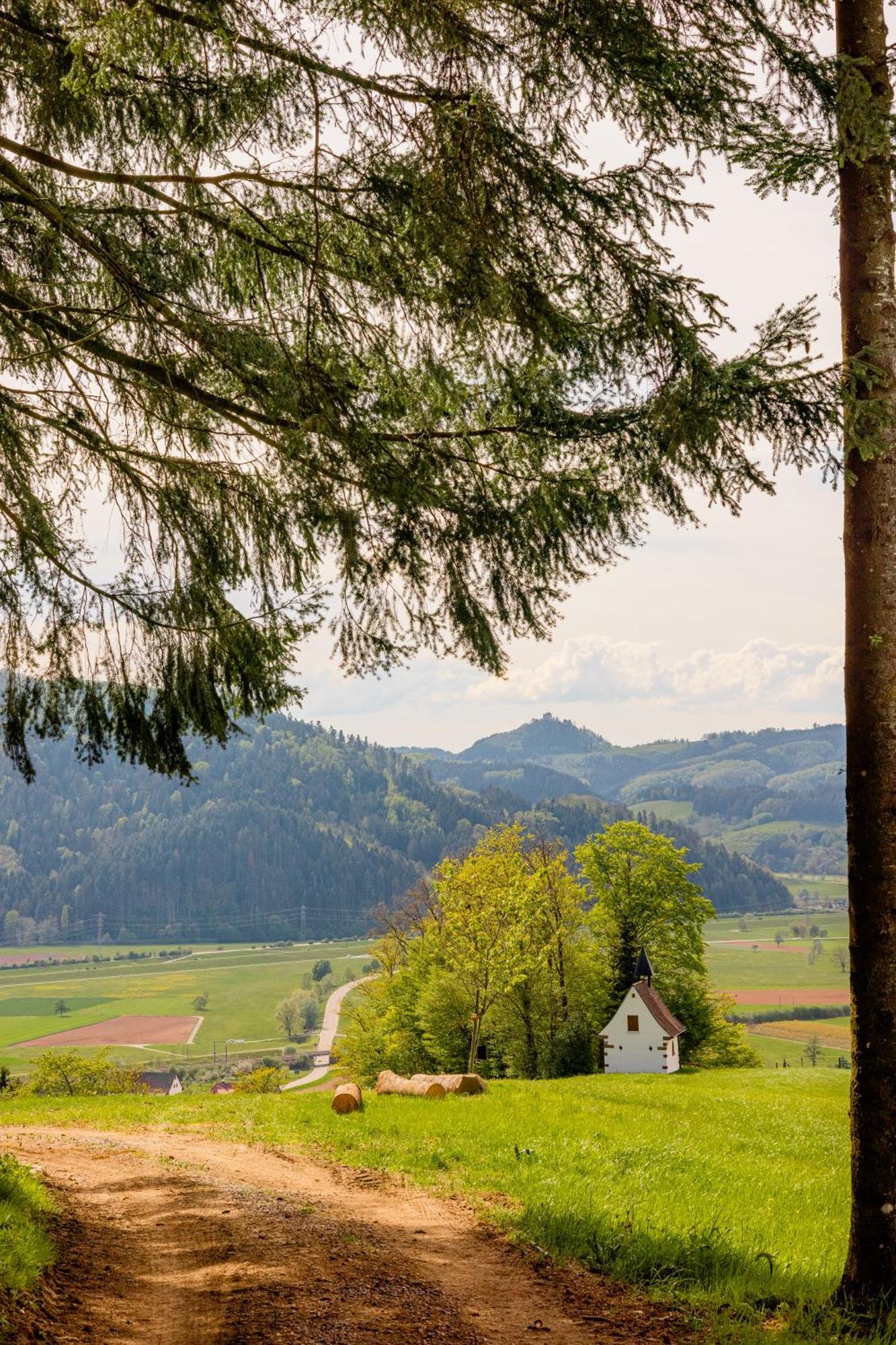 Landhotel Gasthaus Zum Pflug Zell am Harmersbach Esterno foto